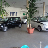 Prodej náhradních dílů Fiat